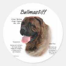 Bullmastiff (brindle) History Design Sticker
