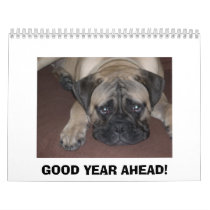 BULLMASTIFF CALENDAR (Pablo 1)