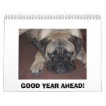 BULLMASTIFF CALENDAR (Pablo 1)