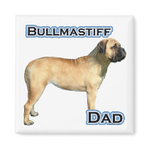 Bullmastiff Dad 4 - Magnet