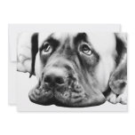 BULLMASTIFF CUSTOM INVITATION