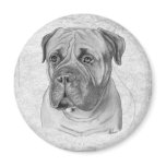 Bullmastiff Fridge Magnet
