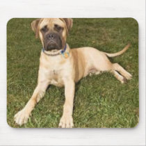 Bullmastiff Mousepad mousepads