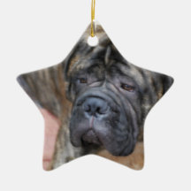 Bullmastiff Ornament