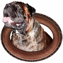 Bullmastiff Ornaments Sculpture Cutout Ornaments Photo Cut Out