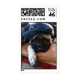 Bullmastiff Pablo Postage 3 postage