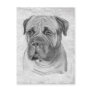 Bullmastiff Post Cards