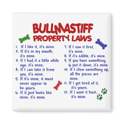BULLMASTIFF Property Laws 2 Fridge Magnets by poochloverstuff