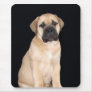 Bullmastiff Puppy mousepad