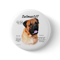 Bullmastiff (red) History Design Pinback Button