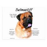 Bullmastiff (red) History Design Post Cards