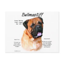 Bullmastiff (red) History Design Post Cards