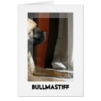 Bullmastiff Sphinx card
