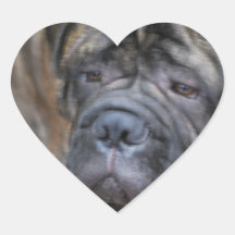 Bullmastiff Stickers