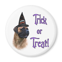 Bullmastiff Trick magnets