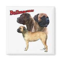 Bullmastiff Trio 2 - Magnet