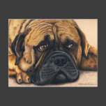 Bullmastiff Waiting - Dog Breed Art Postcard