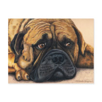 Bullmastiff Waiting - Dog Breed Art Postcard