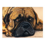 Bullmastiff Waiting - Dog Breed Art Postcard
