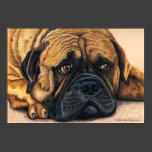 Bullmastiff Waiting - Dog Breed Art Poster