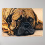 Bullmastiff Waiting - Dog Breed Art Poster
