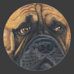 Bullmastiff Waiting - Dog Breed Art Round Stickers