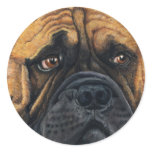 Bullmastiff Waiting - Dog Breed Art Round Stickers
