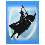 Bullrider  103 flyers