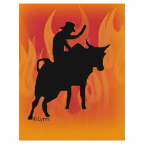 Bullrider 201 flyers