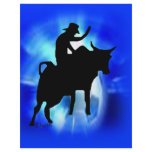 Bullrider 202 full color flyer