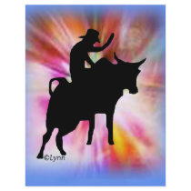 Bullrider 203 flyers