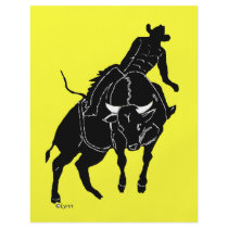 Bullrider 300 flyers