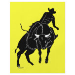 Bullrider 300 flyer