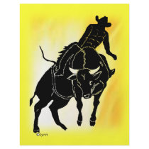 Bullrider 301 flyers