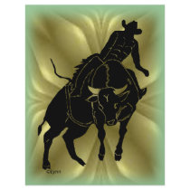 Bullrider 303 flyers