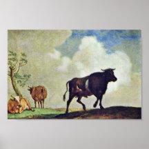 Bulls And Cows By Potter Paulus (Best Quality) Print