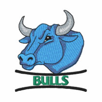 Bulls embroidered shirts by ZazzleEmbroidery Bulls embroidered shirts