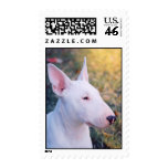 BullTerrier postage