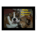 bully buddies cards