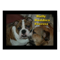 bully buddies cards