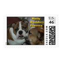 bully buddies postage