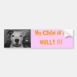 Bully Child Sticker Bumper Sticker