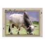 Bully For You! Brahma Bull Poster Print