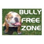 BULLY FREE ZONE 52" x 35" poster