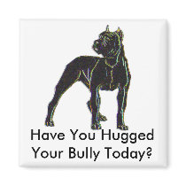 Bully Magnet