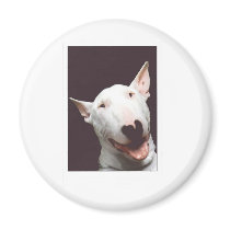 bully smile magnets