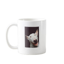 bully smile mug