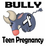 BULLy Teen Pregnancy Acrylic Cut Out