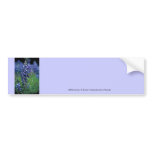Bumbersticker / Texas Bluebonnet Bumper Stickers