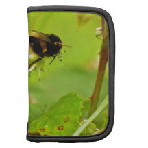 Bumble Bee 8428860.jpg Organizers